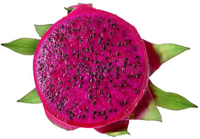 XOLDAA DRAGON FRUIT SEEDS Seed(142 per packet)