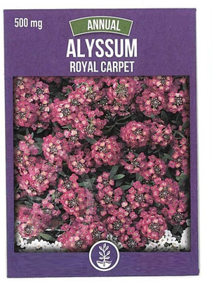 Biosnyg Alyssum Royal Carpet Flower Seeds[100 Seeds] Seed(100 per packet)