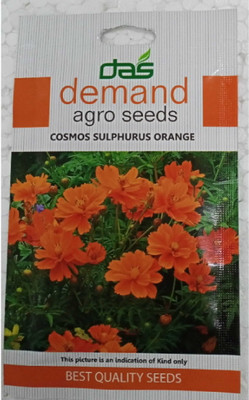 KRASHAK Cosmos Sulphorous Orange flower seeds Seed(2 per packet)