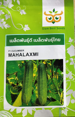 HYBRID 10g mahalaxmi cucumber seeds highest yield variety early fruiting Seed(1 per packet)