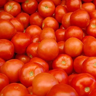 Qualtivate ICRA6-A New Yorker Tomato Seed(300 per packet)