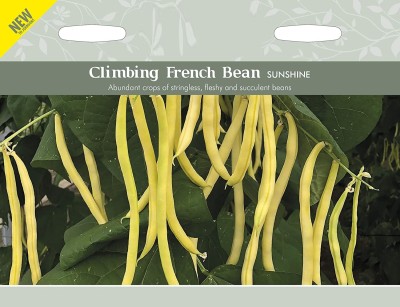 CYBEXIS Climbing French Bean Sunshine Seed800 Seeds Seed(800 per packet)