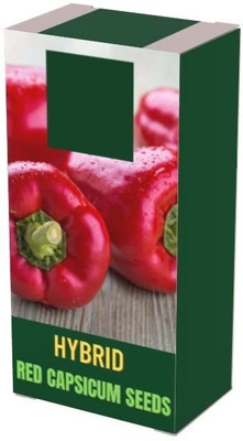 Qualtivate PUA-8A RED CAPSICUM (SHIMLA MIRCH)SEEDS Seed(100 per packet)