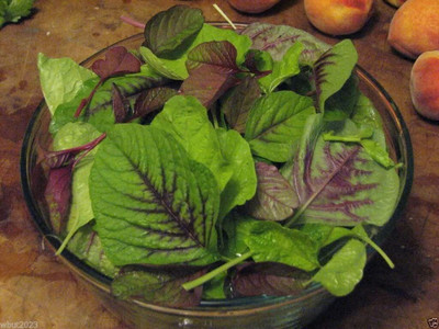 Aywal Amaranthus Leaf Cholai Green Saag Seed(60 per packet)