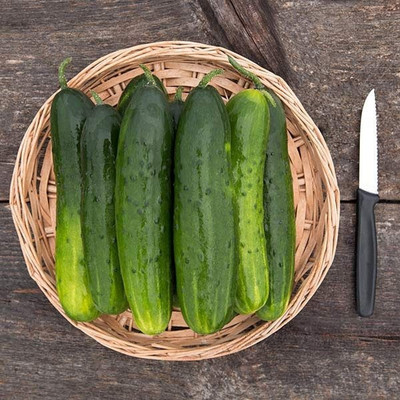 WHYGI DMR 401 CUCUMBER SEEDS-CuC_1089 Seed(200 per packet)