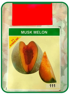 CYBEXIS LX-81 - Muskmelon for Gardening - (1350 Seeds) Seed(1350 per packet)