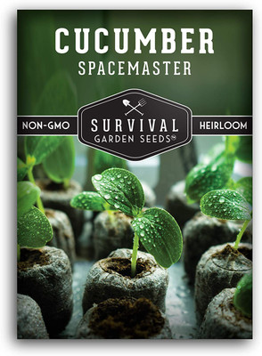 WILLVINE VVI-386 Spacemaster Cucumber Seed for Planting Seed(200 per packet)
