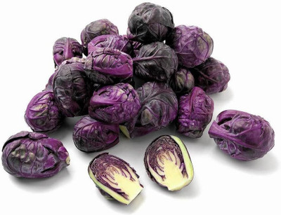WILLVINE VNR -XIII Brussel Sprouts Seeds Red Ball [2.5g] Seed(750 per packet)