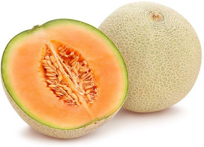 CYBEXIS VXI-2 - MUSKMELON F-1 HYBRID US-111 - (1350 Seeds) Seed(1350 per packet)