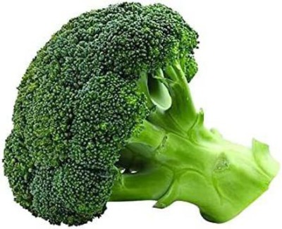 VibeX ® XLR-567 Waltham 29 Broccoli Seeds Seed(200 per packet)