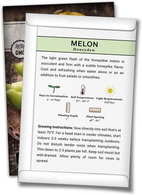 WILLVINE LXI-414 Green Honeydew Musk Melon Seed Seed(200 per packet)
