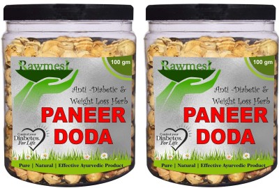 Rawmest Superb Paneer DODI | Indian Rennet | Paneer Doda | Paneer Ka Phool | Withania Coagulans | Anti-Diabetic Seed(100 per packet)