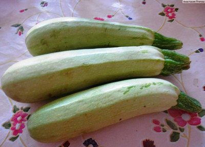Qualtivate PUAS-3A Squash Zucchini Aspirant White Bush Seed(30 per packet)