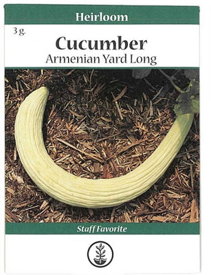 Biosnyg Long Melon Cucumber Garden Seeds[500 Seeds] Seed(500 per packet)