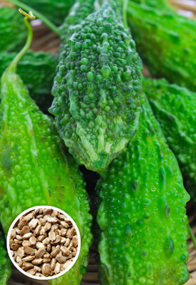 Seedsilk Store Bitter Gourd Indian Seed(20 per packet)