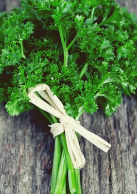 Quentova Leaf parsley - Moss Curled-VDI-4F Seed(50 per packet)