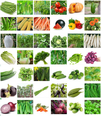 Khushi Prova 40 Variety Summer Vegetable Combo Seed(1100 per packet)
