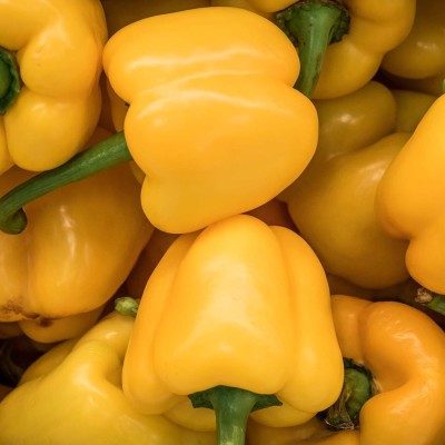 Qualtivate RES-8A Mini Bell Yellow Capsicum Seeds Seed(100 per packet)