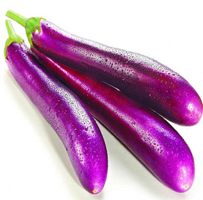 VibeX XLR-57 - Brinjal Long Purple Vegetable - (450 Seeds) Seed(450 per packet)