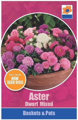 CYBEXIS Aster Dwarf Mixed Seeds Seed(50 per packet)