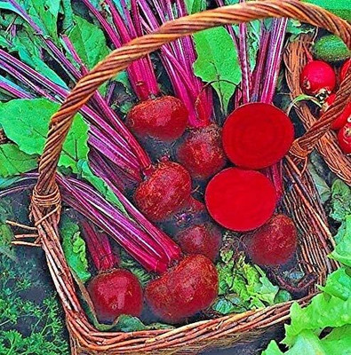 KNESSiN Beetroot Boltardy Seed(1250 per packet)