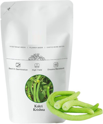 VibeX LX-64 - Cucumber Kakdi/Tar - (150 Seeds) Seed(150 per packet)
