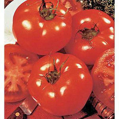 Jevik Big-Beef-Tomato- Seed(145 per packet)