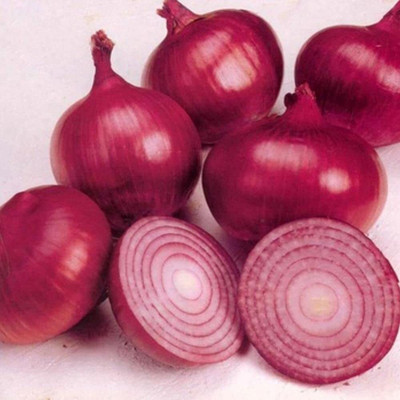 Qualtivate PUAS-4A Onion Red F1 Hybrid Seeds Seed(500 per packet)