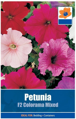 CYBEXIS Petunia F2 Colorama Mixed Seeds Seed(50 per packet)