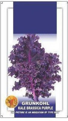 VibeX Kale Brassica Seed(250 per packet)