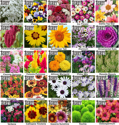 Agrey combo of 25 variety flower seeds with instruction manual. Seed(25 per packet)