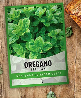 CYBEXIS XLL-52 - Oregano - Italian- - (1350 Seeds) Seed(1350 per packet)