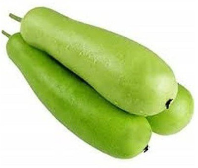 VibeX ® XLR-259 Bottle Gourd Long Hybrid Ghiya Seed Seed(50 per packet)