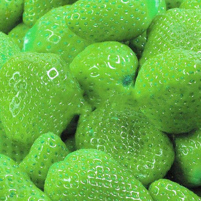 CYBEXIS Green Strawberry Seeds400 Seeds Seed(400 per packet)