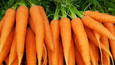 BJUBAS Long carrot seeds pack of 117 Seed(117 per packet)