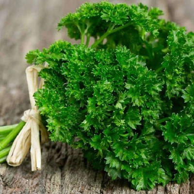 CYBEXIS PARSLEY 700 Seeds Seed(700 per packet)
