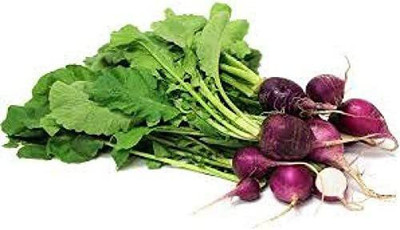 CYBEXIS PUAS-60 - Purple Plum Radish - (2250 Seeds) Seed(2250 per packet)