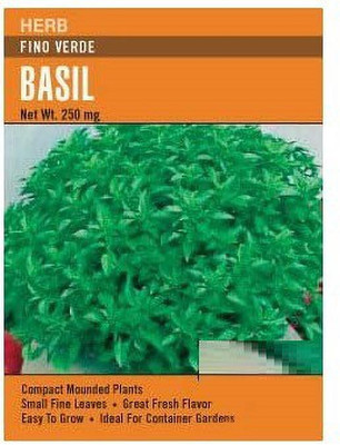 VibeX ® LXI-29 Ocimum basilicum 'Fino Verde' Seed(1000 per packet)