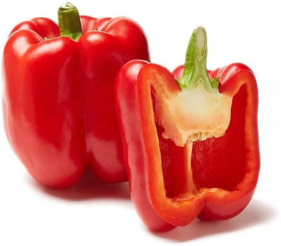 Quentova Capsicum/Shimla Mirch/Bell Pepper-7I-VNT Seed(75 per packet)