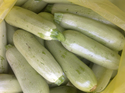 VibeX GBPUT-95 - Squash Zucchini Aspirant White Bush - (75 Seeds) Seed(75 per packet)