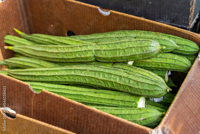 XOLDAA FI QUALITY RIDGE GOURD Seed(11 per packet)