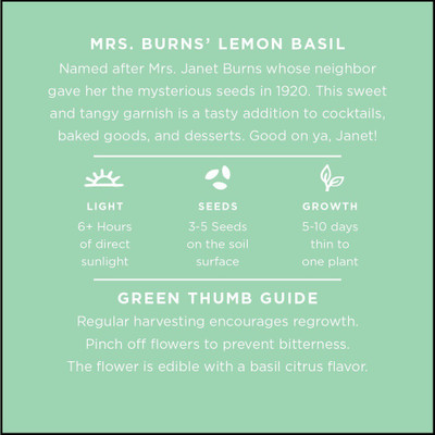 VibeX ® RXI-42 Lemon Basil 'Mrs. Burns' Seed(1000 per packet)