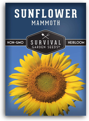 VibeX ® XLR-306 Mammoth Sunflower Seed Seed(200 per packet)