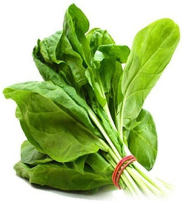 Finiox PALAK Seed(25 per packet)