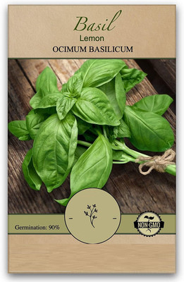 VibeX ® VMR-55 Lemon Basil Seeds Seed(1000 per packet)