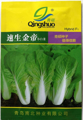 CYBEXIS Quick Vegetable Seeds Chunese Cabbage2000 Seeds Seed(2000 per packet)