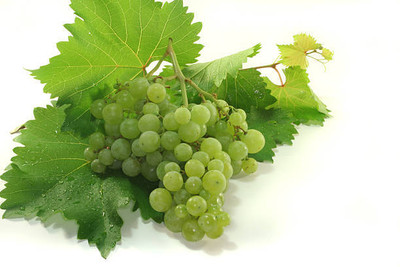 PASCLE GRAPE SEEDS Seed(50 per packet)