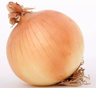 Avysa Onion Yellow Onion Seed(200 per packet)