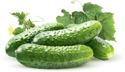 Quentova Cucumber Gherkins Pickling Seeds-VIC-10S Seed(250 per packet)