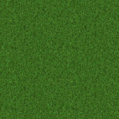 SREE Lawn Grass Seed/Grass Seed for Gardening / Playground/Park, Grass Seed(4000 per packet)